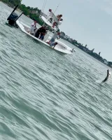 Large tarpon leaping from the water beside a Sarasota fishing charter boat during an exciting fight.