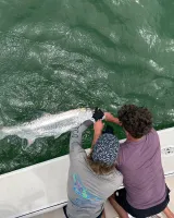 Young angler and captain carefully releasing a large tarpon beside a Sarasota fishing charter boat after a successful catch.