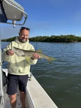 Angler holding a snook during a Sarasota fishing charter near the mangroves.