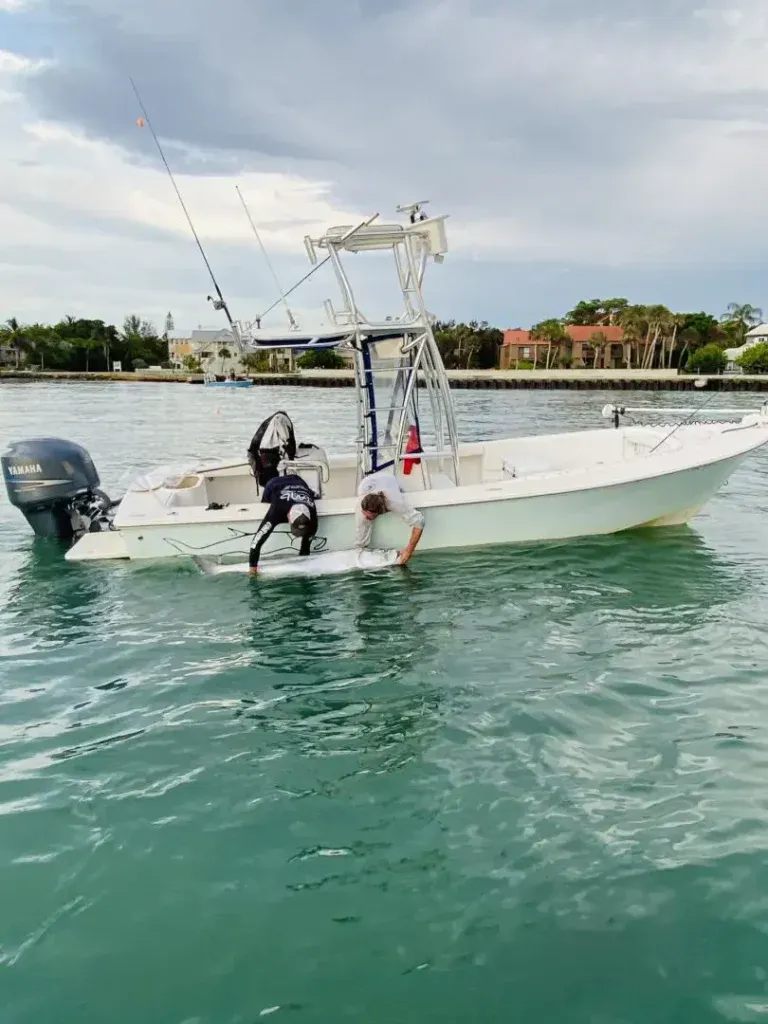 Captain releasing a fish beside a charter boat in Sarasota, Florida.