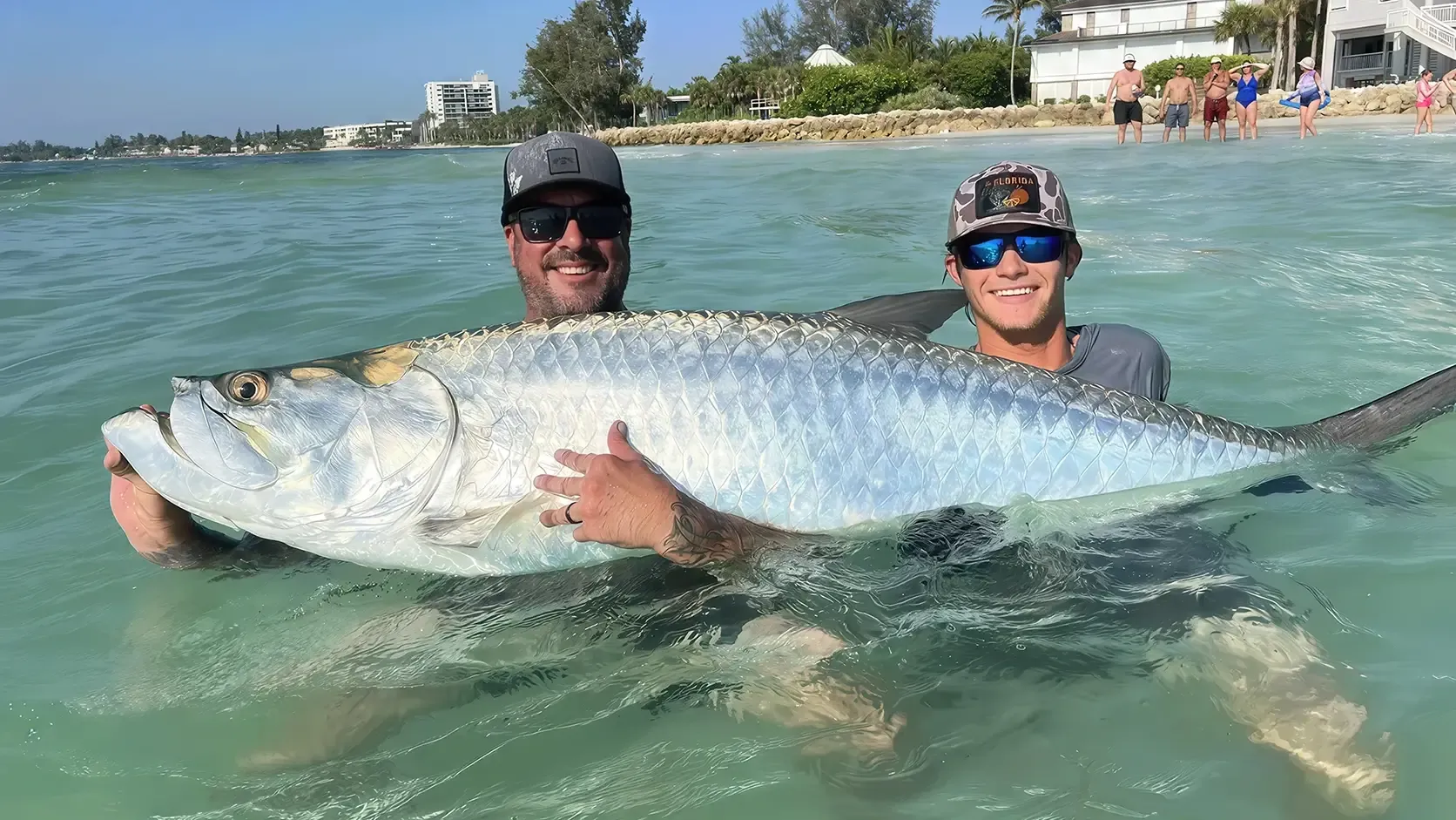Two anglers holding a large catch and release tarpon in the shallow waters off Sarasota Beach, Florida.