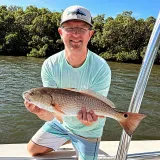 Angler holding a healthy redfish caught during a Sarasota fly fishing charter along the mangrove shoreline.