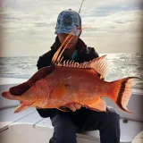 Angler holding a colorful hogfish caught on a Sarasota nearshore fishing charter.