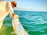 Captain releasing a trophy tarpon beside a charter boat in Sarasota, Florida.
