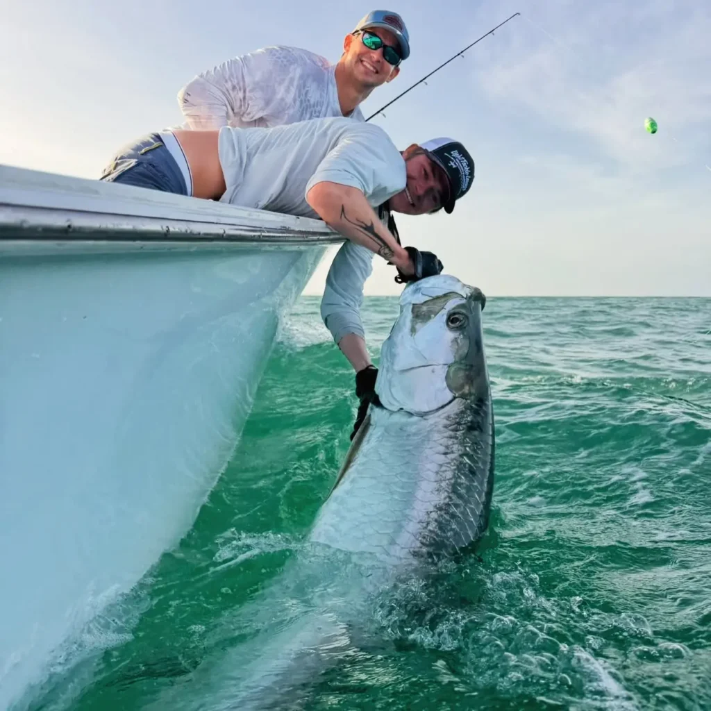 Captain reviving and releasing a trophy tarpon beside the boat during a Sarasota tarpon fishing charter.