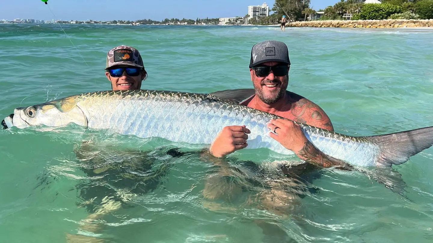 Anglers holding a giant tarpon in the water during a Sarasota tarpon fishing charter.