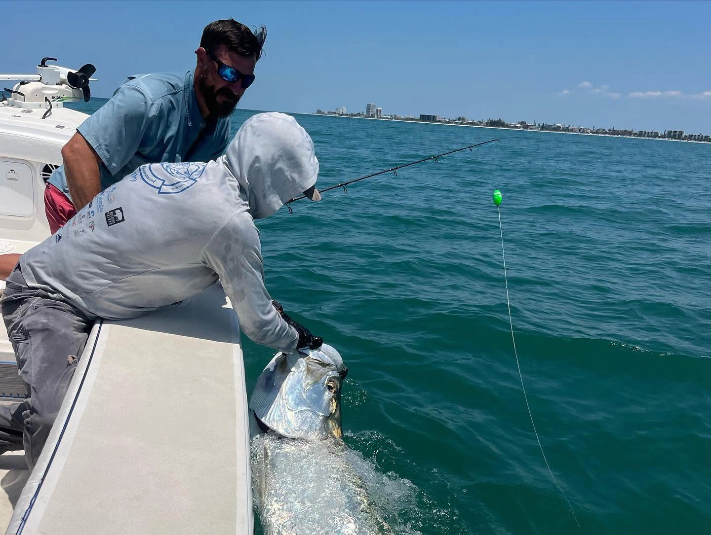 Captain and angler carefully releasing a large tarpon beside a Sarasota fishing charter boat after a successful catch.
