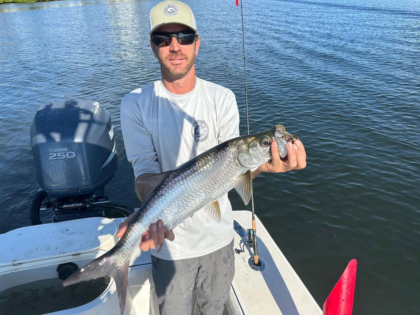 Angler holding a juvenile tarpon during an inshore fishing charter on Sarasota Bay, Florida.
