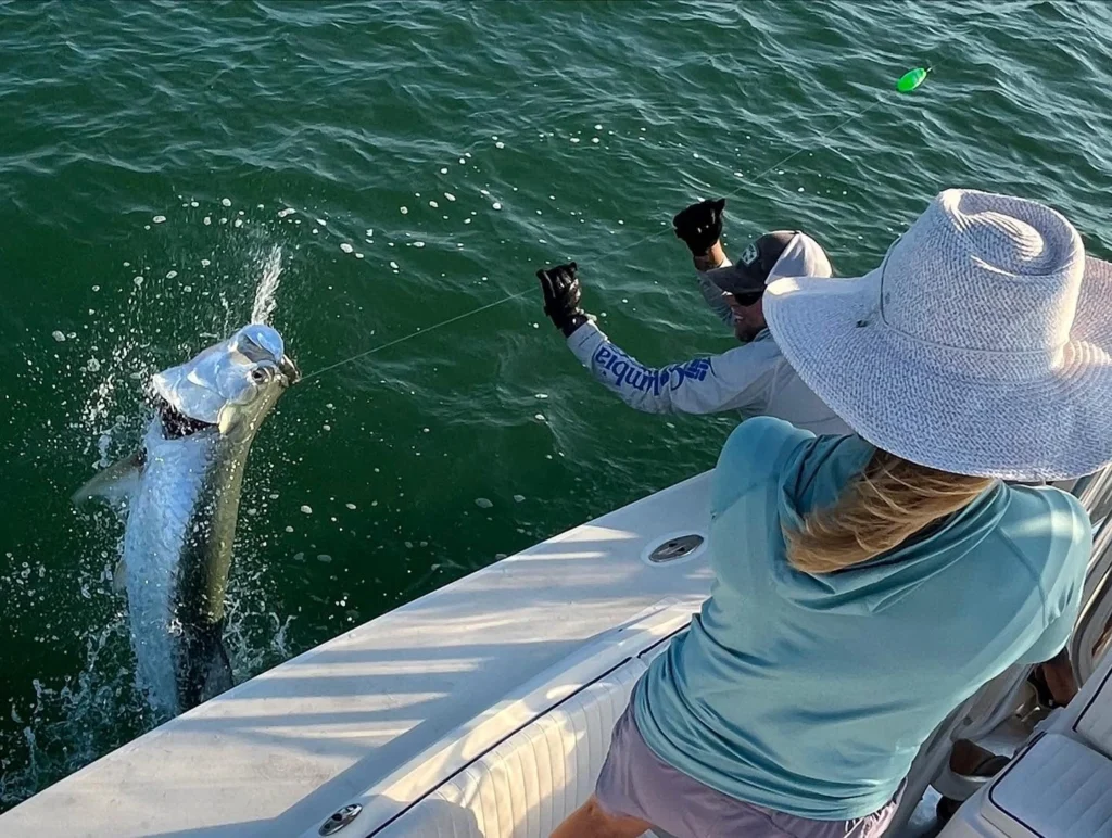Large tarpon leaping beside a Sarasota fishing charter boat while an angler battles the fish with guidance from the captain.