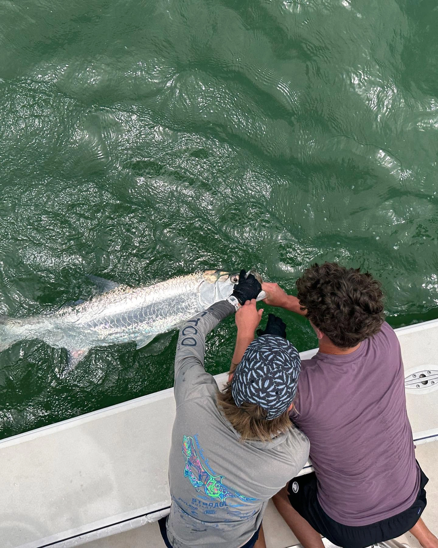 Young angler and captain carefully releasing a large tarpon beside a Sarasota fishing charter boat after a successful catch.