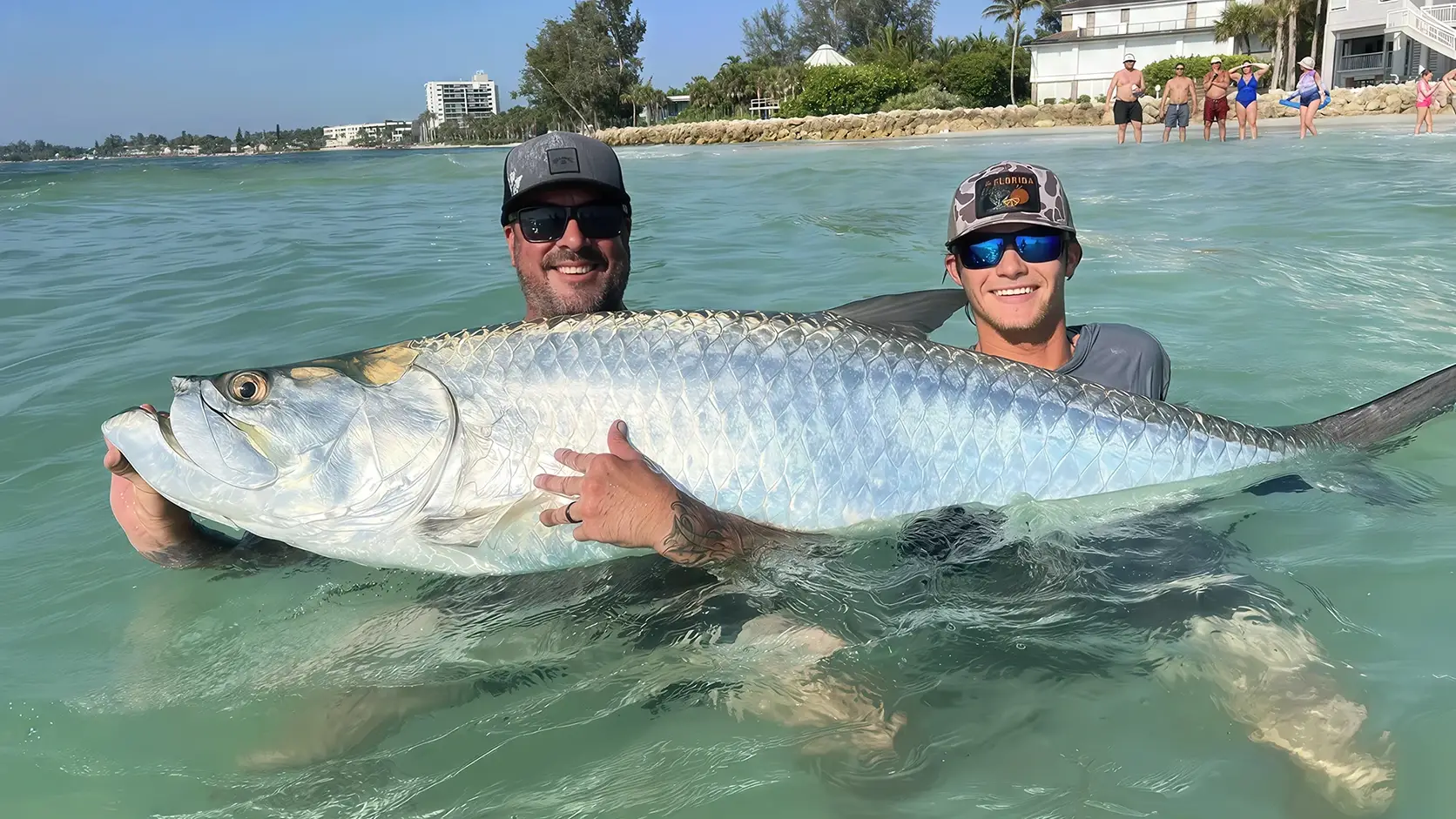 Two anglers holding a large catch and release tarpon in the shallow waters off Sarasota Beach, Florida.